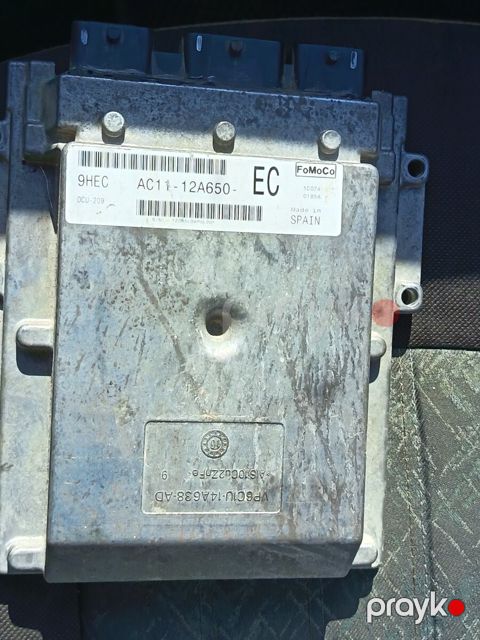 Ford Transit beyni