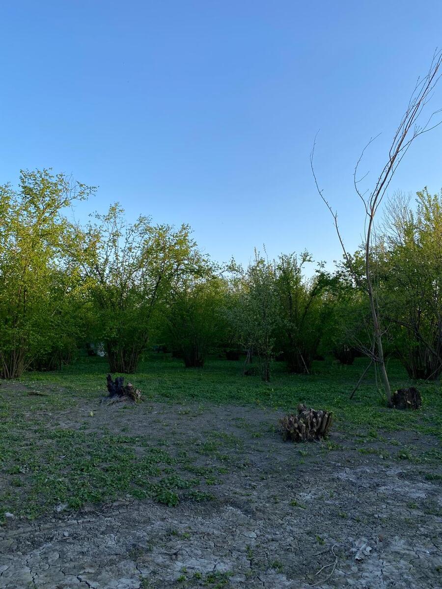 Satılır torpaq 24 sot — Torpaq, Qəbələ (4)