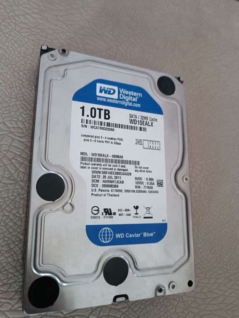 Sərt disk Western Digital Caviar Blue 1000GB — Bakı