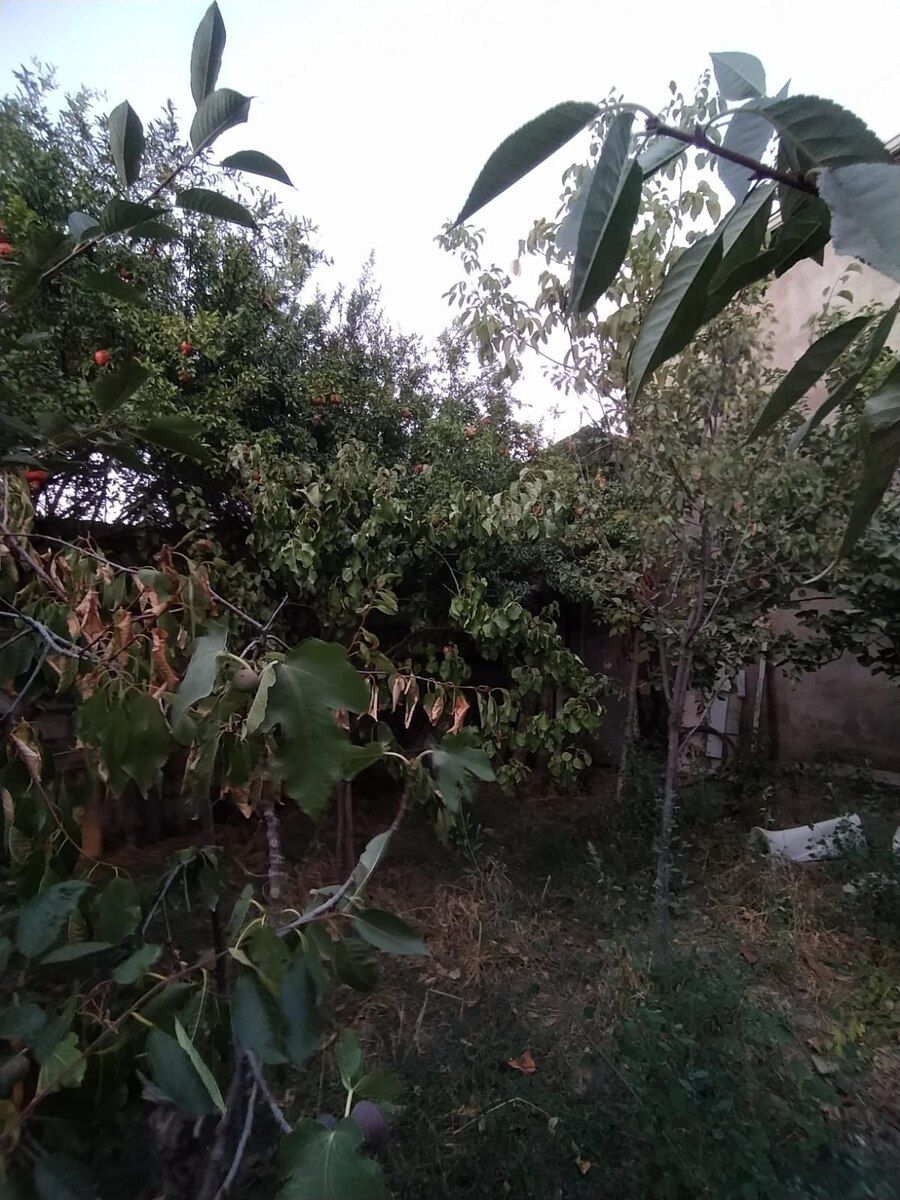 Həyət evi, Xırdalan ş — Ev, villa, Xırdalan (9)
