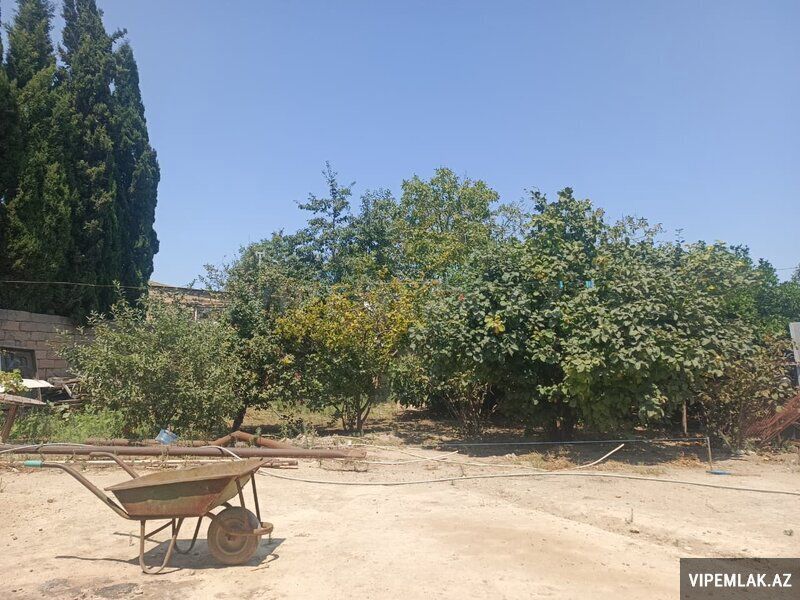 Sabunçu rayonunda Torpaq Satılır, 6 sot — Torpaq, Bakı (4)