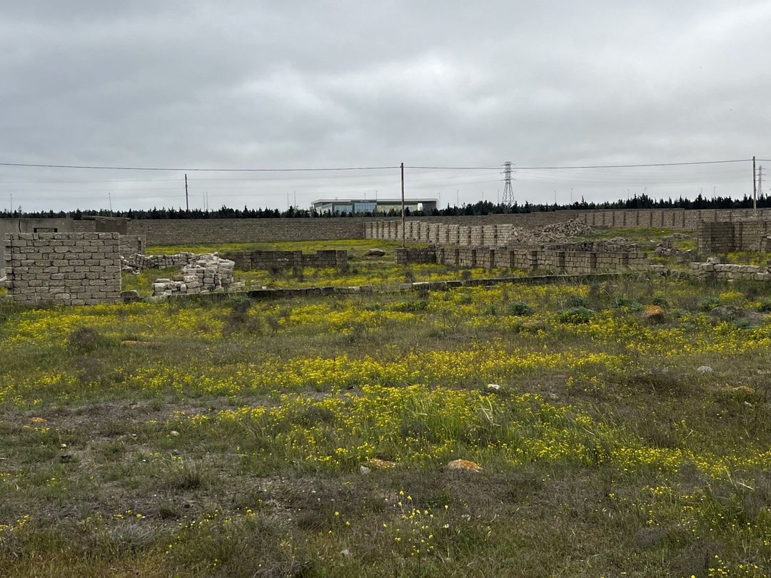 Satılır torpaq 5 sot — Torpaq, Bakı (3)