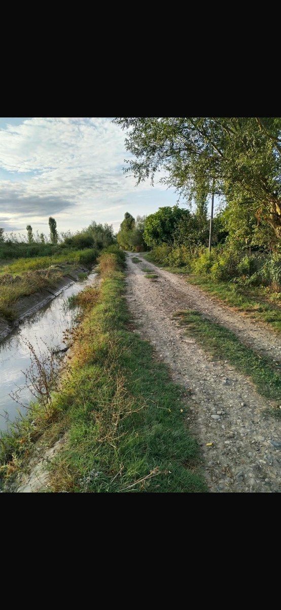 30 sot torpaq sahəsi, Çaxmaxlı kəndi — Torpaq, Xaçmaz (2)