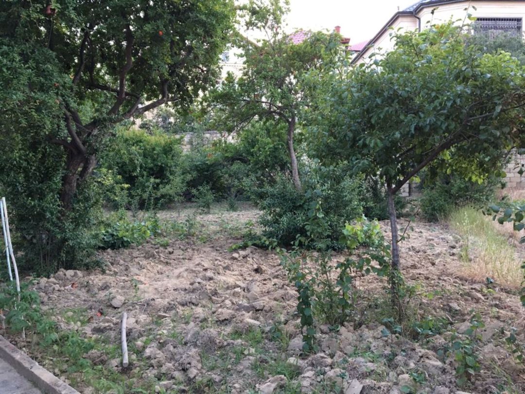 76 sot torpaq sahəsi, Qala qəs — Torpaq, Bakı (3)