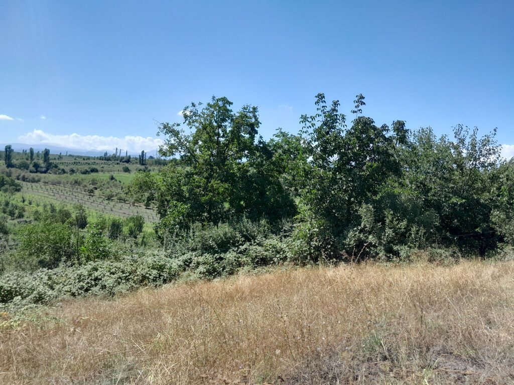 3 otaqlı, Yeni tikili, 60 kv. m — Mənzil, Quba (10)