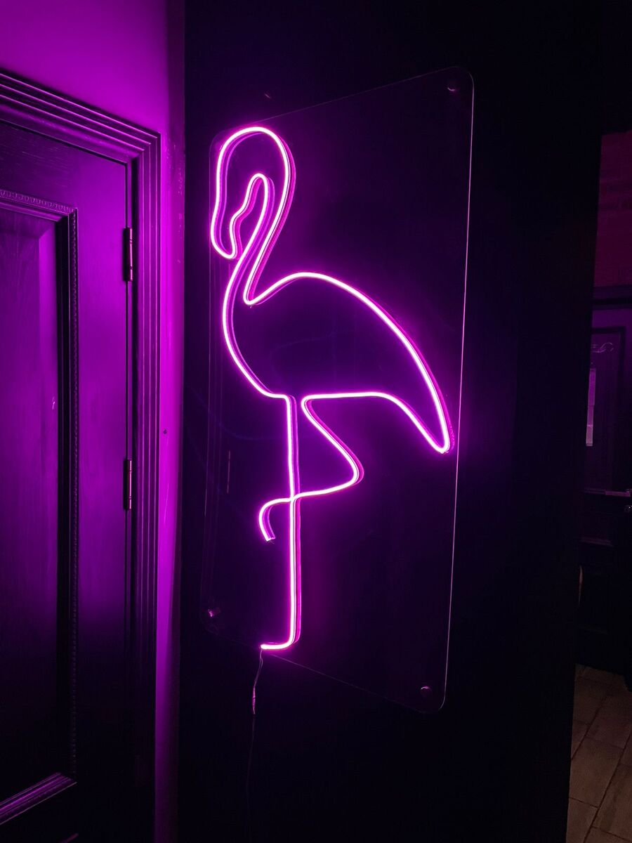 Neon işıqlar — Biznes və avadanlıq, Bakı (3)