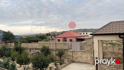 Həyət evi, Saray qəs