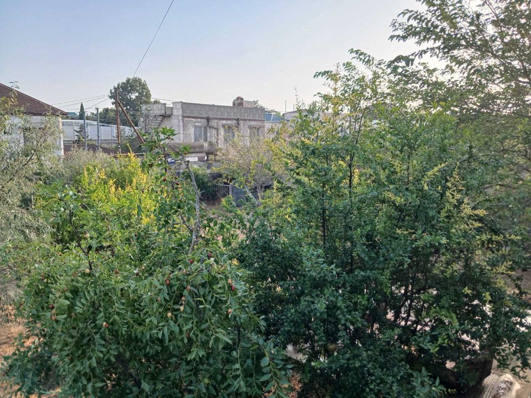 Bağ evi kirayə verilir, Hövsan qəs — Ev, villa, Bakı (8)