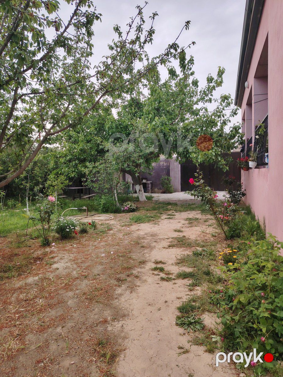 Bağ evi, Abşeron r — Ev, villa, Bakı (6)