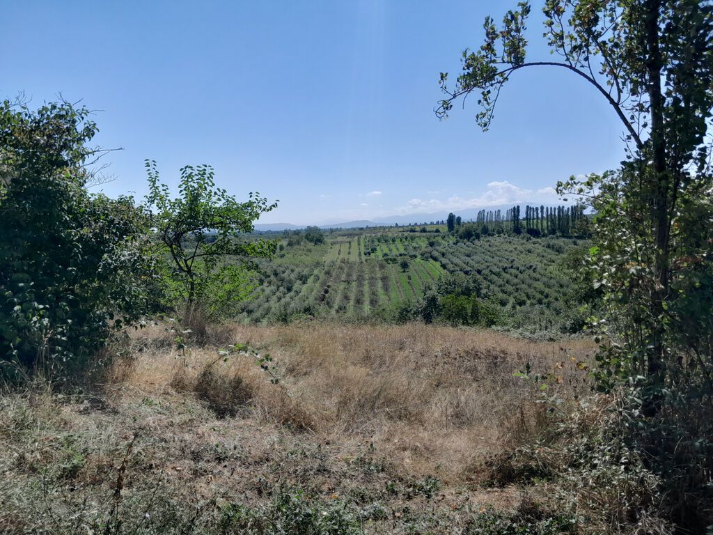 3 otaqlı, Yeni tikili, 60 kv. m — Mənzil, Quba (5)