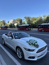 Toy avtomobillərinin icarəsi — Avtomobil