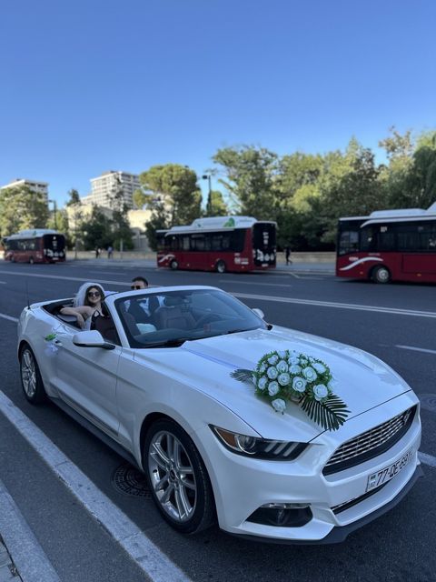 Toy avtomobillərinin icarəsi — Bakı