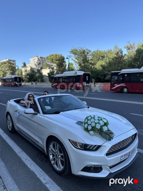 Toy avtomobillərinin icarəsi — Bakı
