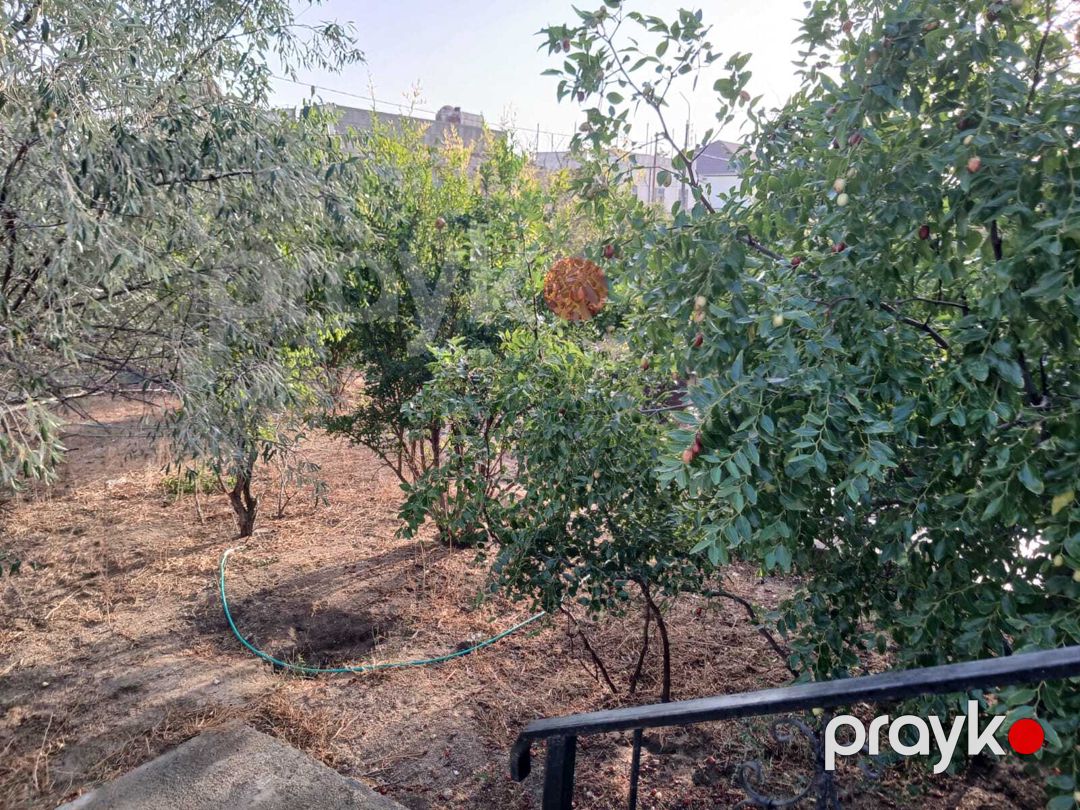 Bağ evi kirayə verilir, Hövsan qəs — Ev, villa, Bakı (6)