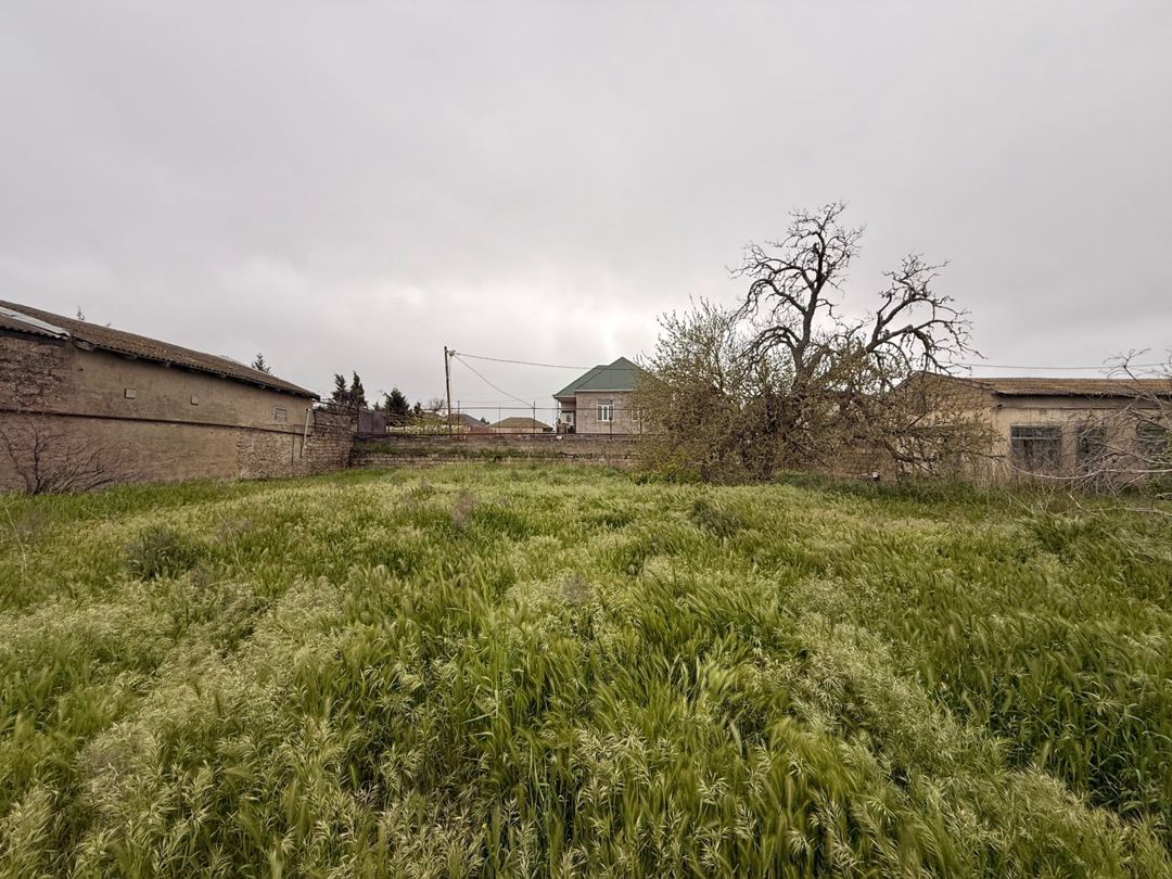 Satılır torpaq 23 sot — Torpaq, Bakı (8)