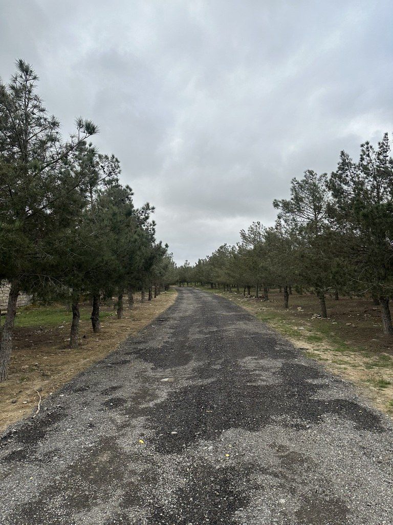 Satılır torpaq 14.4 sot — Torpaq, Bakı (3)