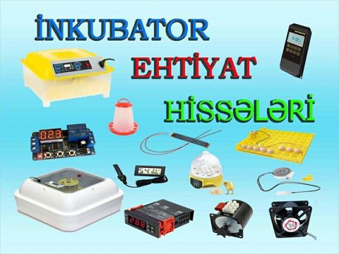 İnkubator və ferma aksesuarları — Bakı