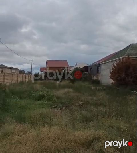 Tikinti