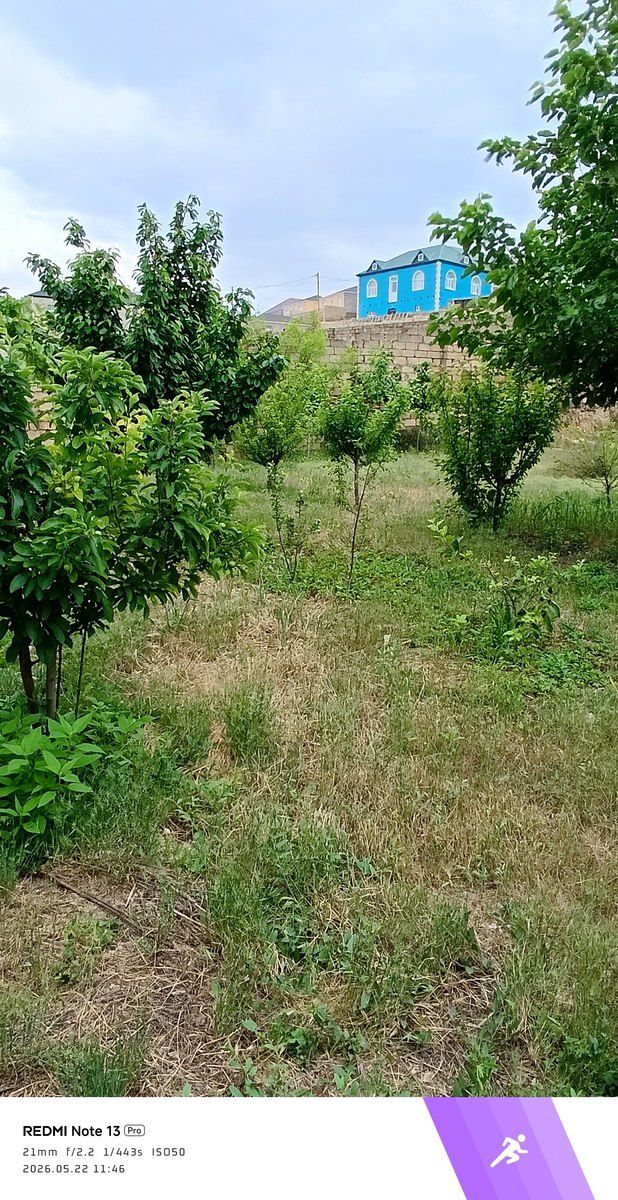 Satılır torpaq 6 sot — Torpaq, Bakı (4)