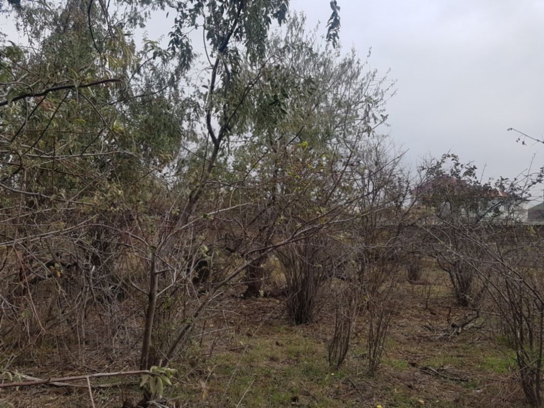 Satılır torpaq 2000 sot — Torpaq, Sumqayıt (2)
