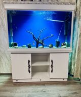 Akvarium — Аквариумы и рыбы