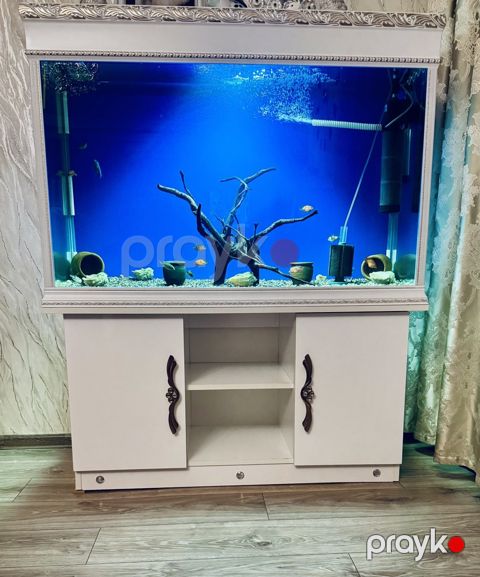 Akvarium — Gəncə