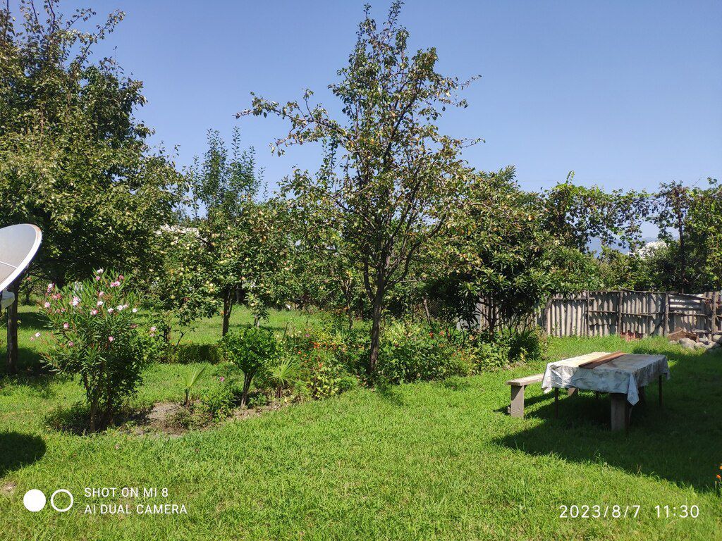 Həyət evi, Yuxarı Tala kəndi — Ev, villa, Zaqatala (4)