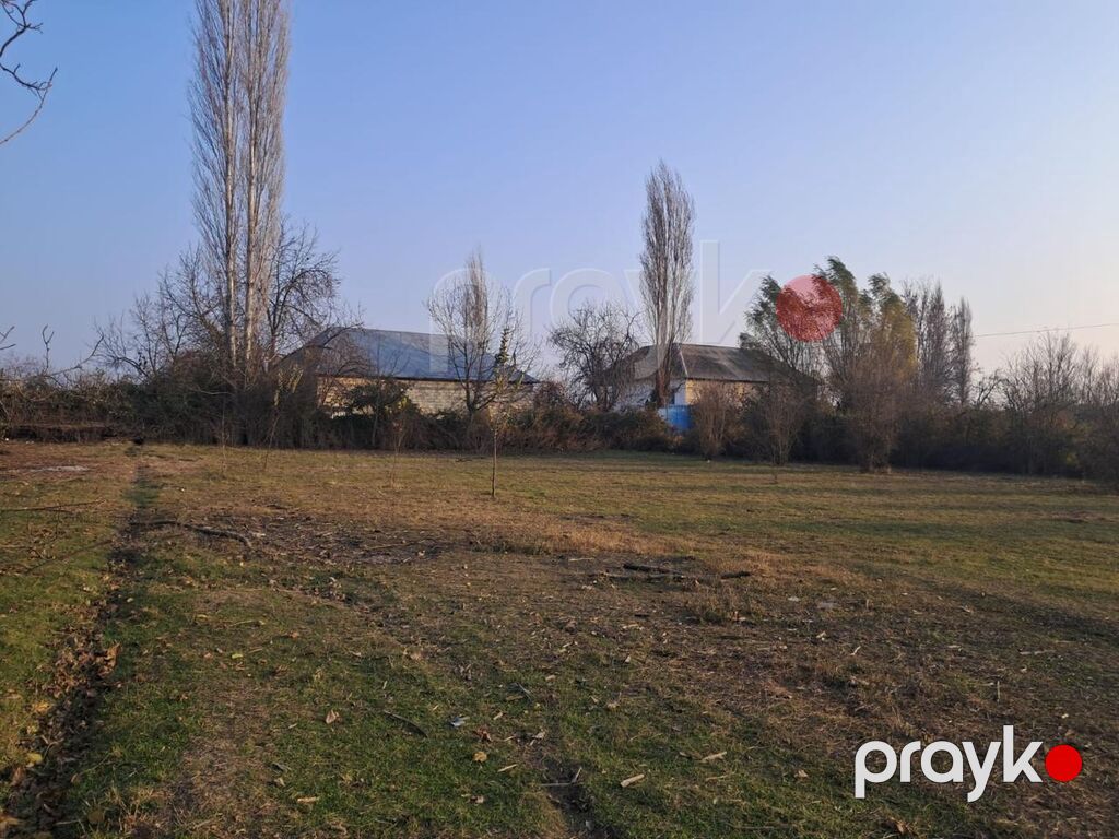 Tikinti — Torpaq, Göyçay (7)