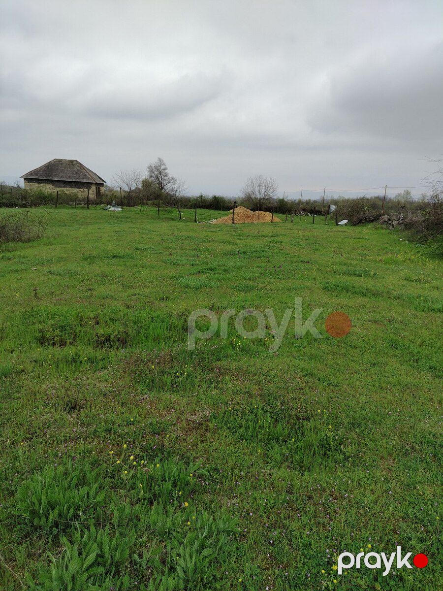 5 sot torpaq sahəsi, Bum qəs — Torpaq, Qəbələ (7)