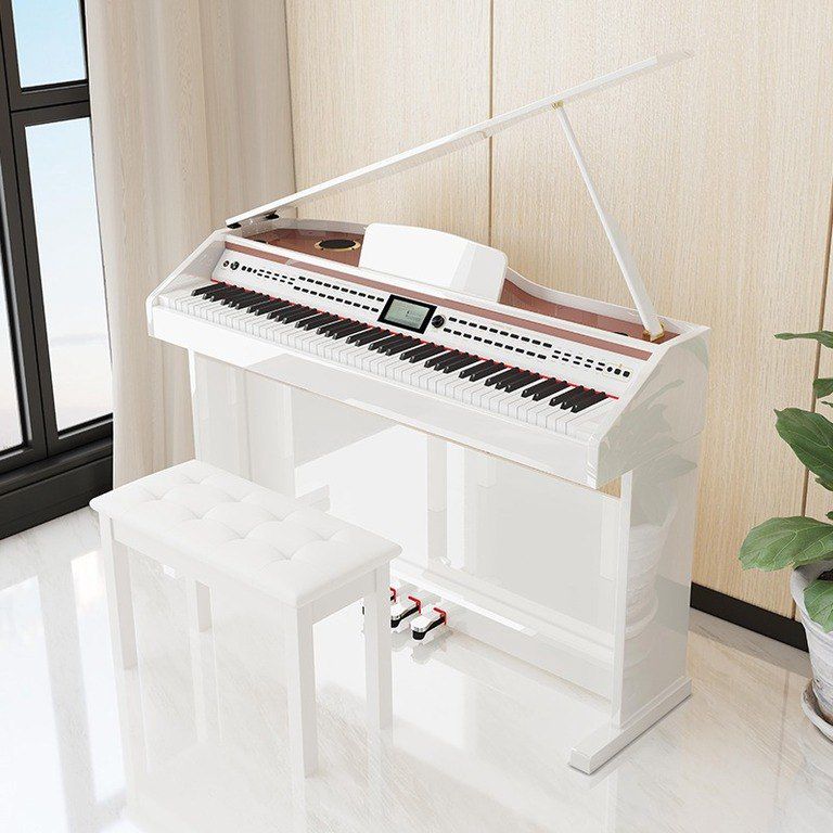 Elektro piano "Allegro RK - 222" — Musiqiə alətləri, Bakı (10)