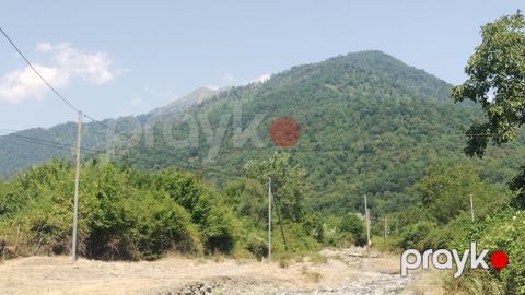 56 sot torpaq sahəsi, Qəbələ r