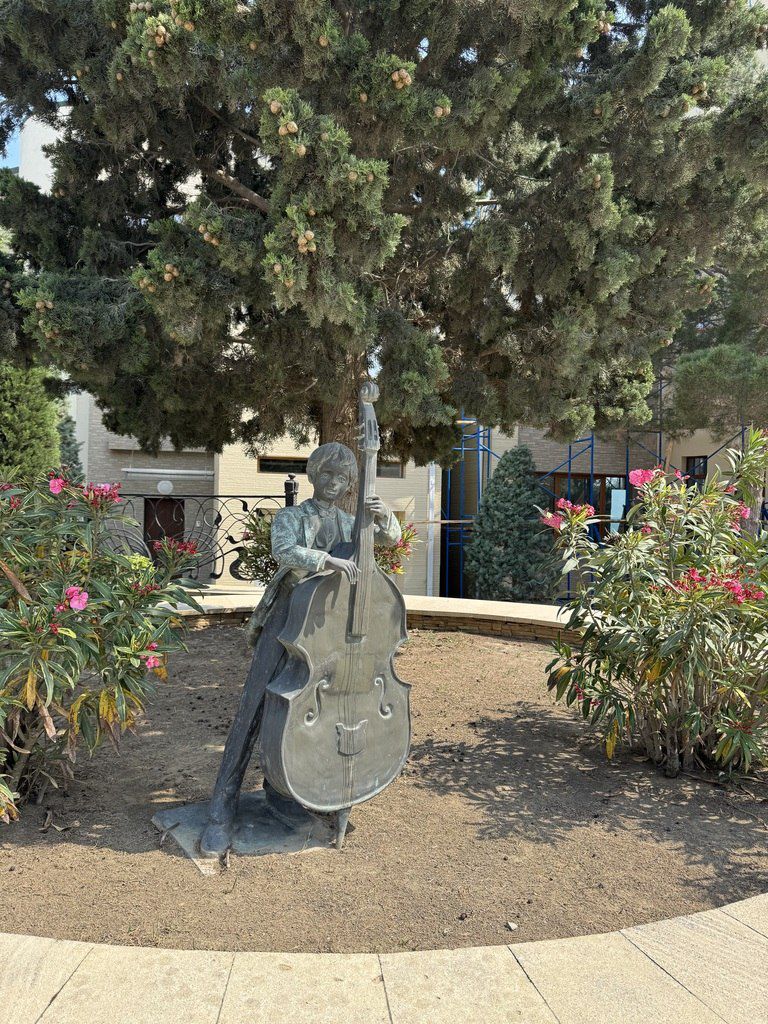 Satılır 8 otaqlı həyət evi/bağ evi 500 m² — Ev, villa, Bakı (10)