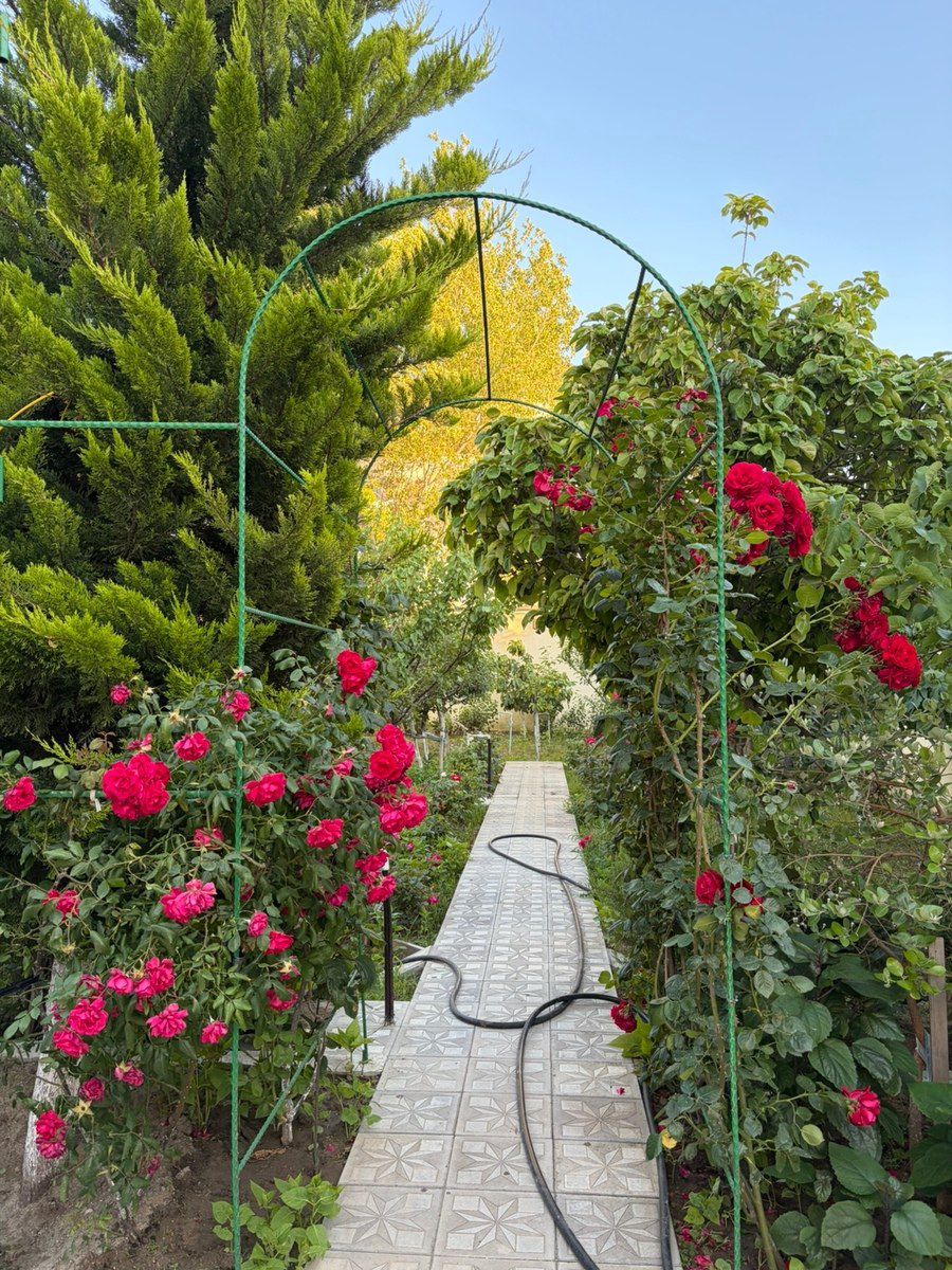 Bağ evi kirayə verilir, Buzovna qəs — Ev, villa, Bakı (3)