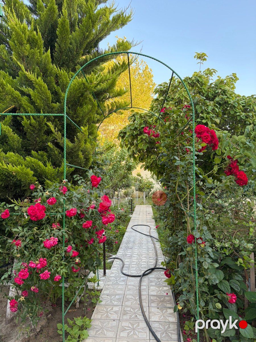 Bağ evi kirayə verilir, Buzovna qəs — Ev, villa, Bakı (3)