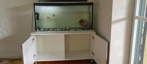 Akvarium + şkaf dəsti - Akvarium ölçüləri: uzunluq 1 metr, hündürlük — Bakı