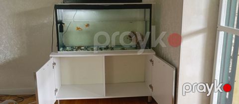 Akvarium + şkaf dəsti - Akvarium ölçüləri: uzunluq 1 metr, hündürlük — Bakı
