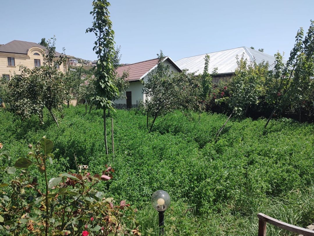 Satılır 4 otaqlı həyət evi/bağ evi 300 m² — Ev, villa, Şamaxı (3)