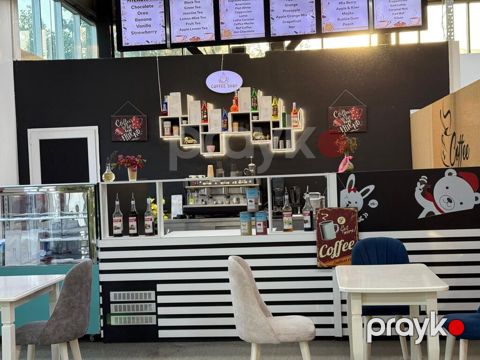 Kafe-barma qurulmuş hazır “Coffee Shop” köşəsi - Peşəkar avadanlıqlı — Xırdalan