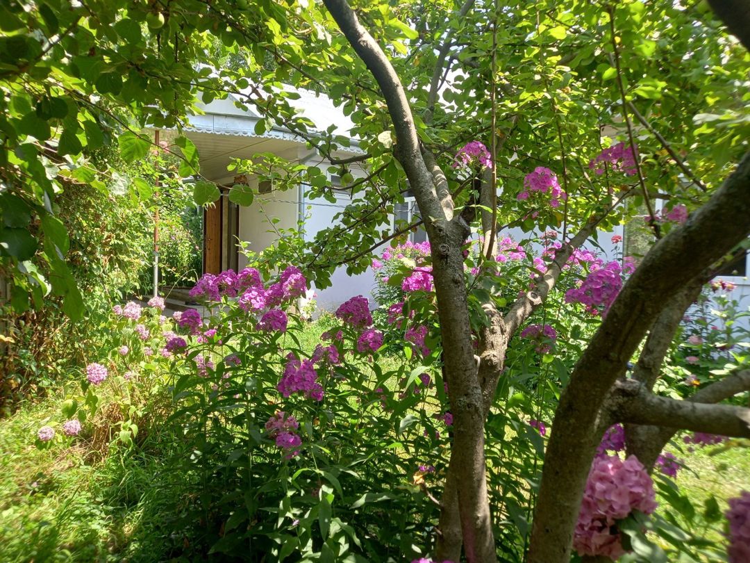 Həyət evi kirayə verilir, Vəndam qəs — Ev, villa, Qəbələ (3)