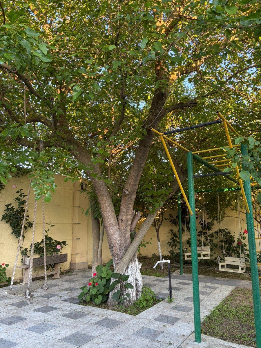 Bağ evi kirayə verilir, Buzovna qəs — Ev, villa, Bakı (2)