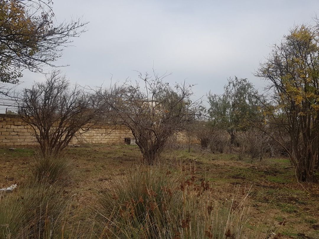 Satılır torpaq 2000 sot — Torpaq, Sumqayıt (4)