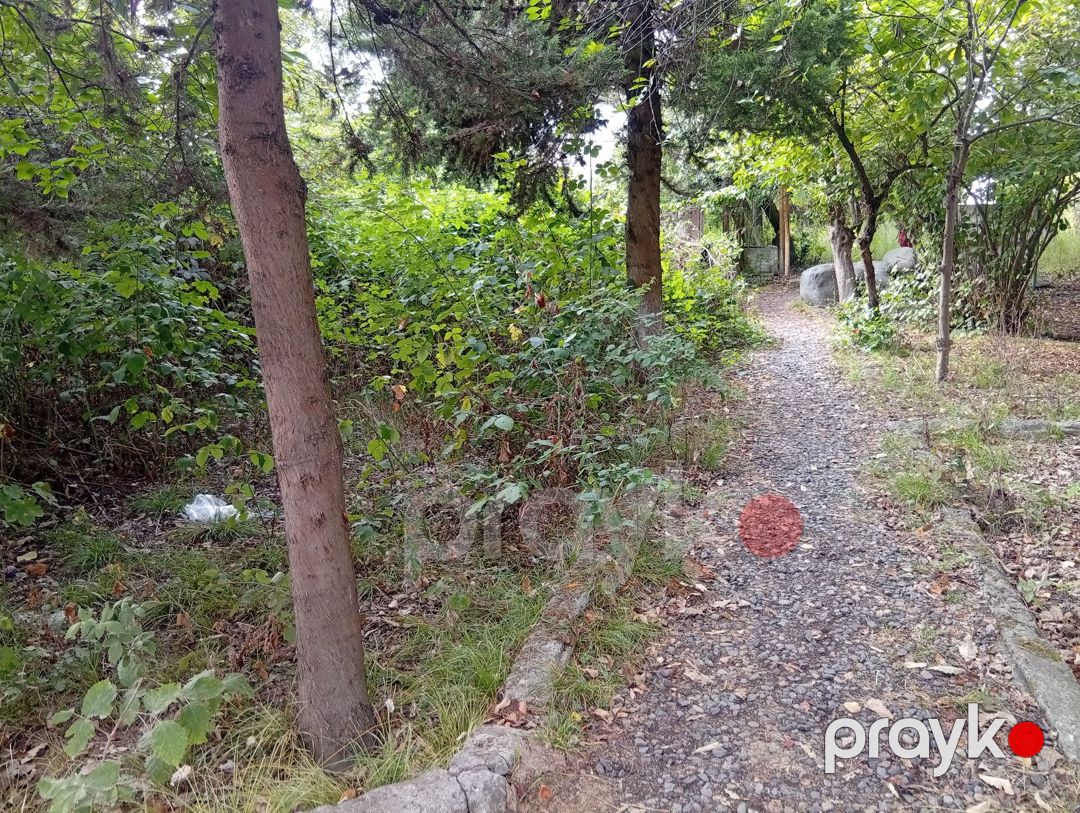 67 sotluq torpaq sahəsi satılır, Lənkəran — Torpaq, Lənkəran (2)