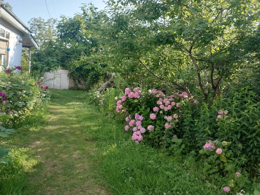 Həyət evi kirayə verilir, Vəndam qəs — Ev, villa, Qəbələ (7)