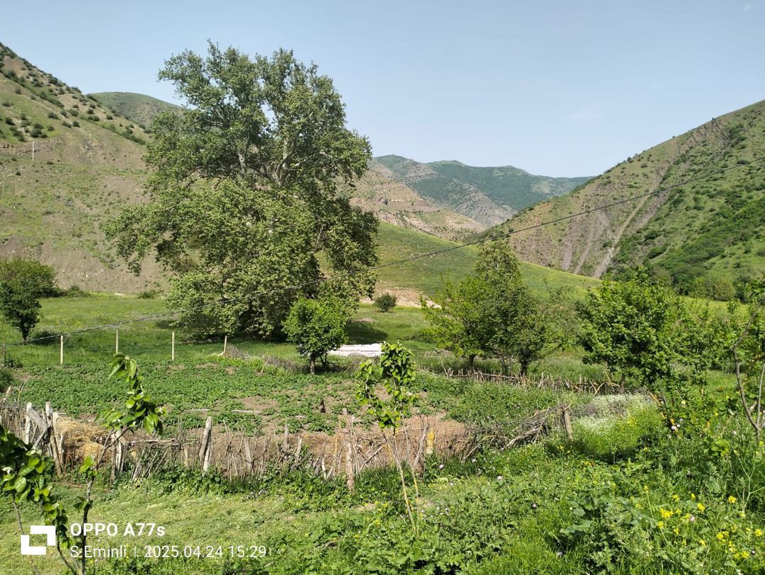Həyət evi, 5 hektar torpaq — Ev, villa, Yardımlı (3)