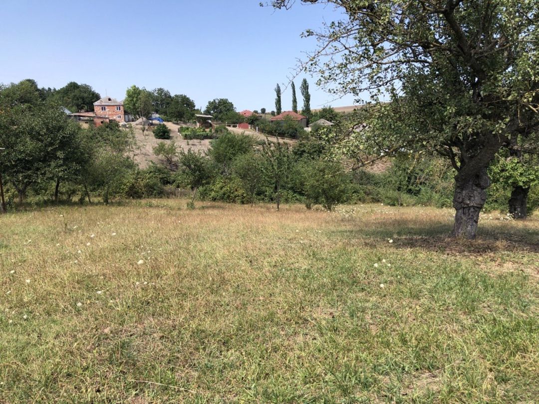 22 sot torpaq sahəsi, Şabran r — Torpaq, Şabran (7)