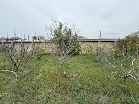 Satılır torpaq 4 sot — Bakı
