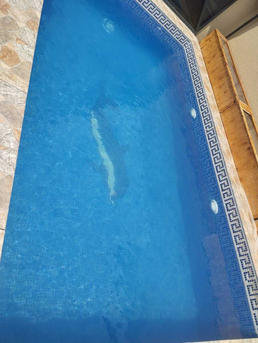 Satılır 3 otaqlı həyət evi/bağ evi 70 m² — Ev, villa, Bakı (3)