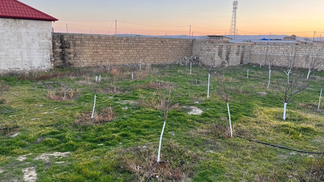 Həyət evi, Sumqayıt ş — Ev, villa, Sumqayıt (7)