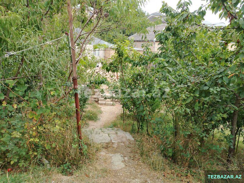 Ev satlır — Ev, villa, Şamaxı (7)