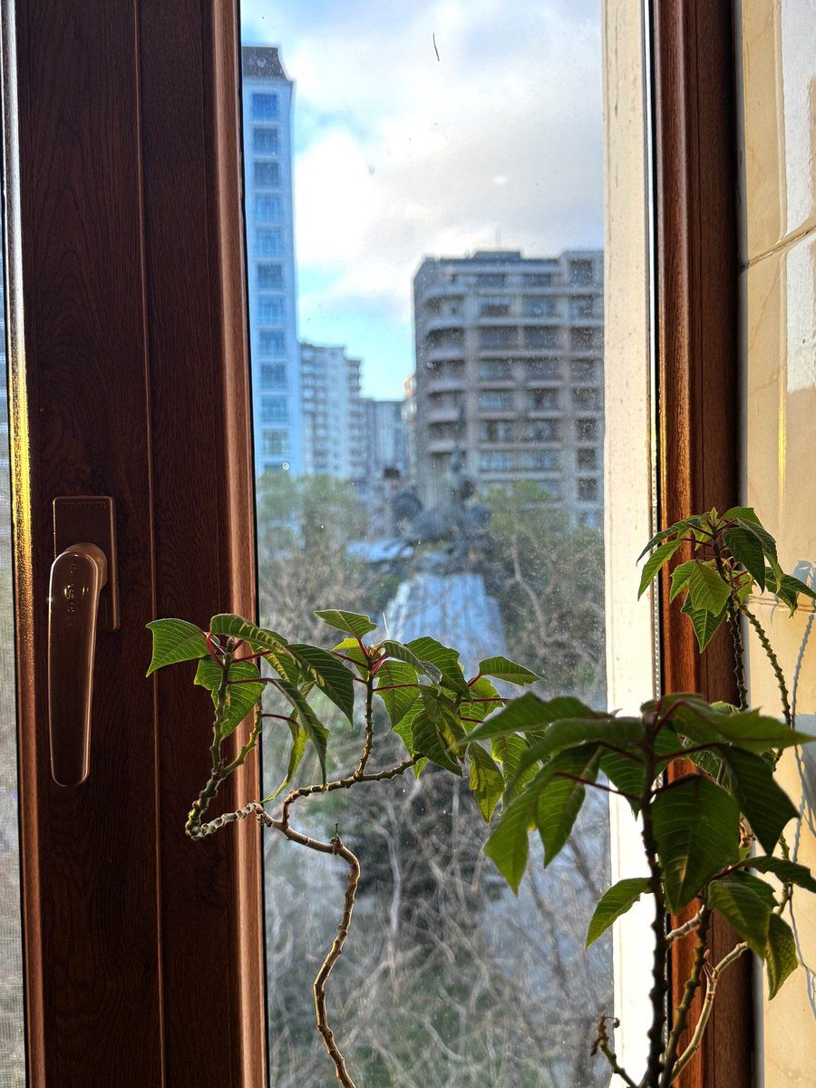 Satılır 2 otaqlı yeni tikili 70 m² — Mənzil, Bakı (11)